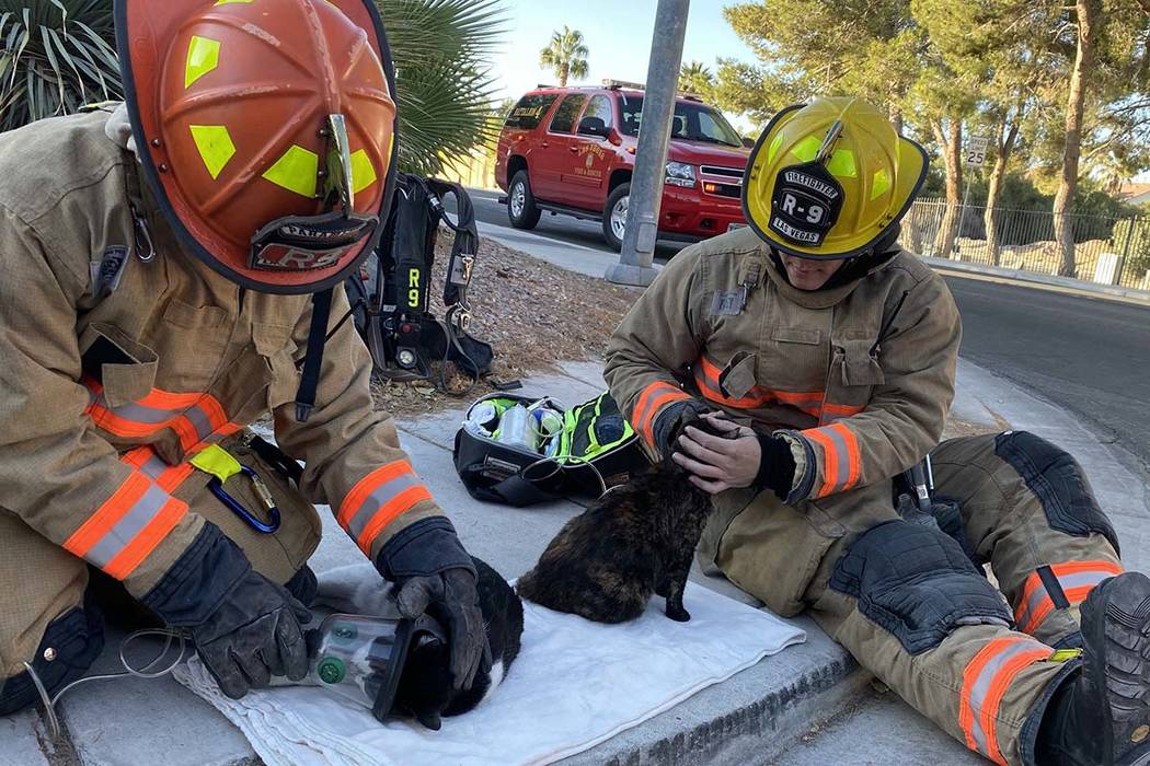 Las Vegas firefighters give oxygen to cats rescued from a northwest Las Vegas house fire on Thu ...