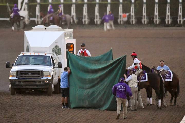 Track workers treat Mongolian Groom after the Breeders' Cup Classic horse race at Santa Anita P ...