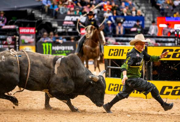 Bullfighter Frank runs to escape the horns of a bull during the PBR World Finals at T-Mobile Ar ...