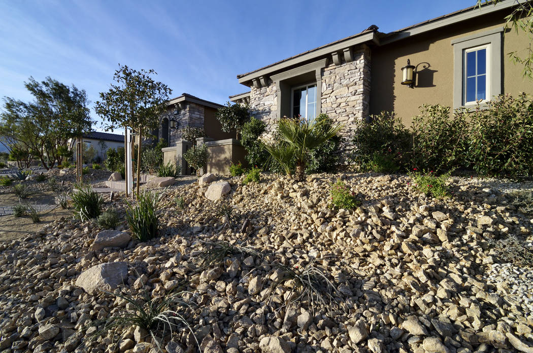 Terraced landscaping is shown in front of model homes in the Serenity Ridge development for Wil ...