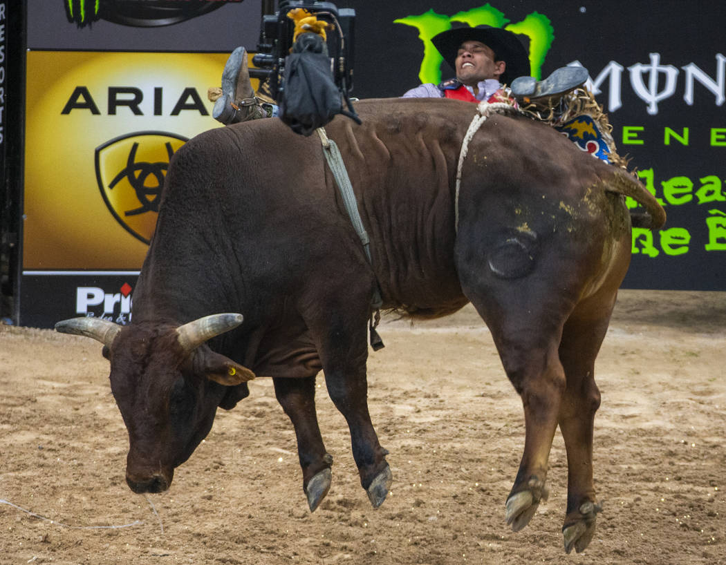 Alisson De Souza does his best to stay on I'm Legit Too during the third day of the PBR World ...