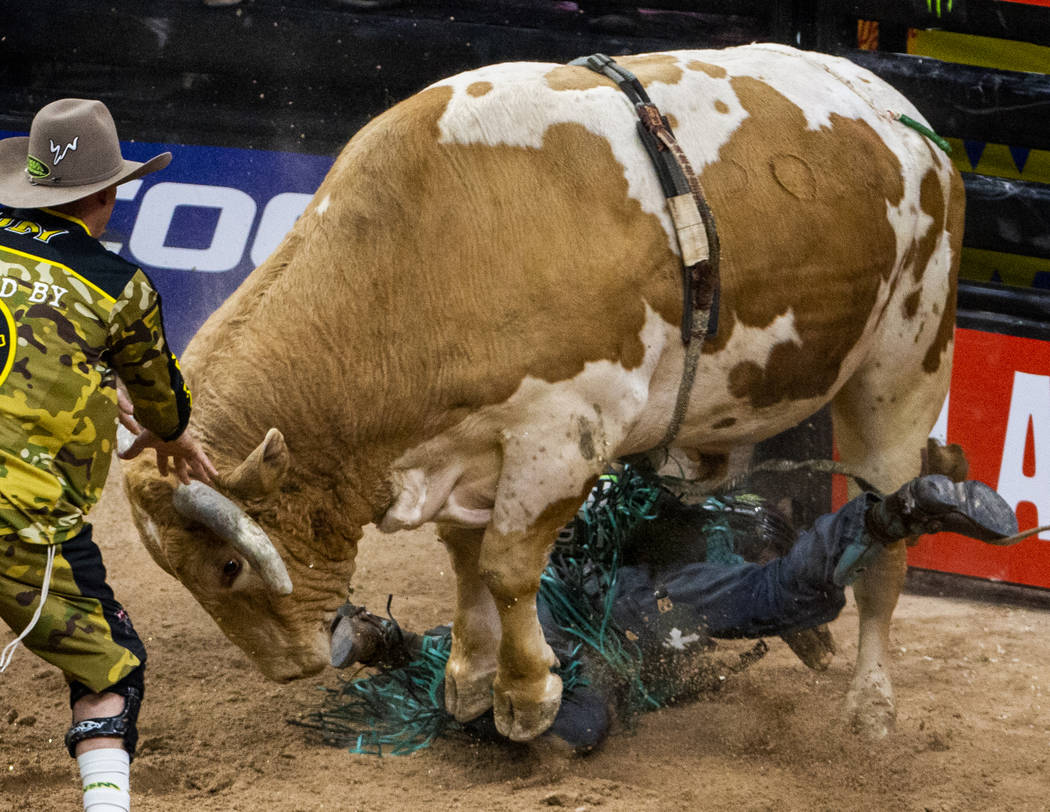 Leandro Machado gets stomped underneath of Nailed during the last day of the PBR World Finals a ...