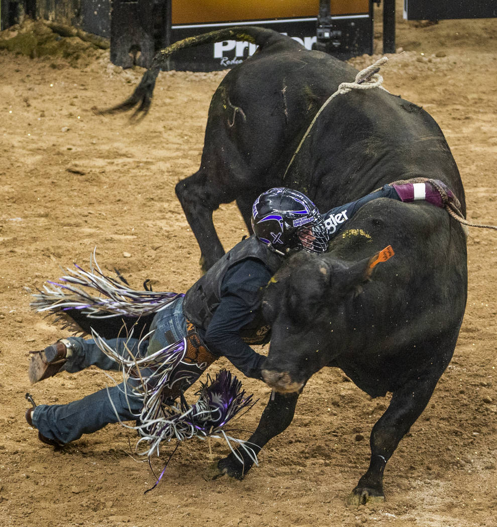 Daylon Swearingen is dragged by the hand by Safety Meeting during the last day of the PBR World ...