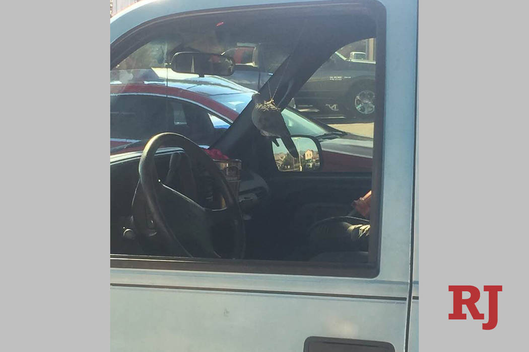 A pigeon adorns a vehicle's rear-view mirror Tuesday, Nov. 12, 2019, at a Rebel Gas off of Sout ...