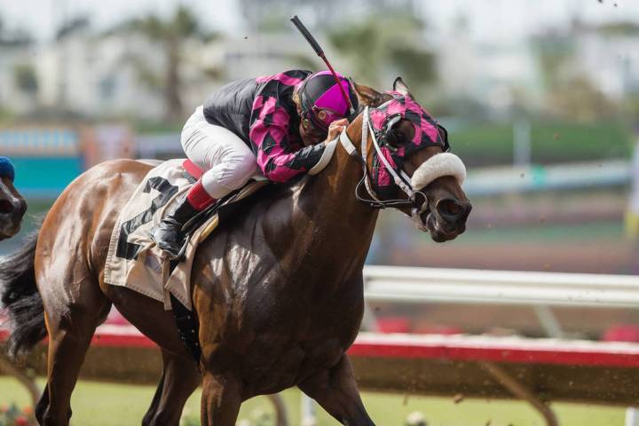 Ferrin Peterson rides hard in the stretch during a race at Del Mar this summer.