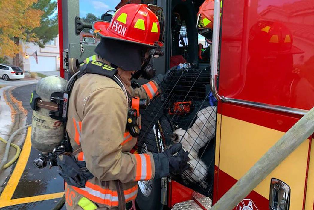 A Las Vegas Fire Department firefighter helps two cats after an attic fire in the northwest val ...