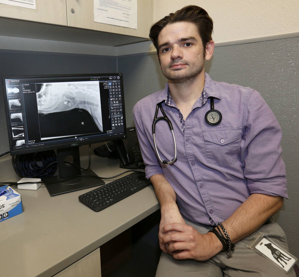 Dr. Ken Sieranski, director of veterinary services, shows a X-ray image of a dog named Dudley a ...