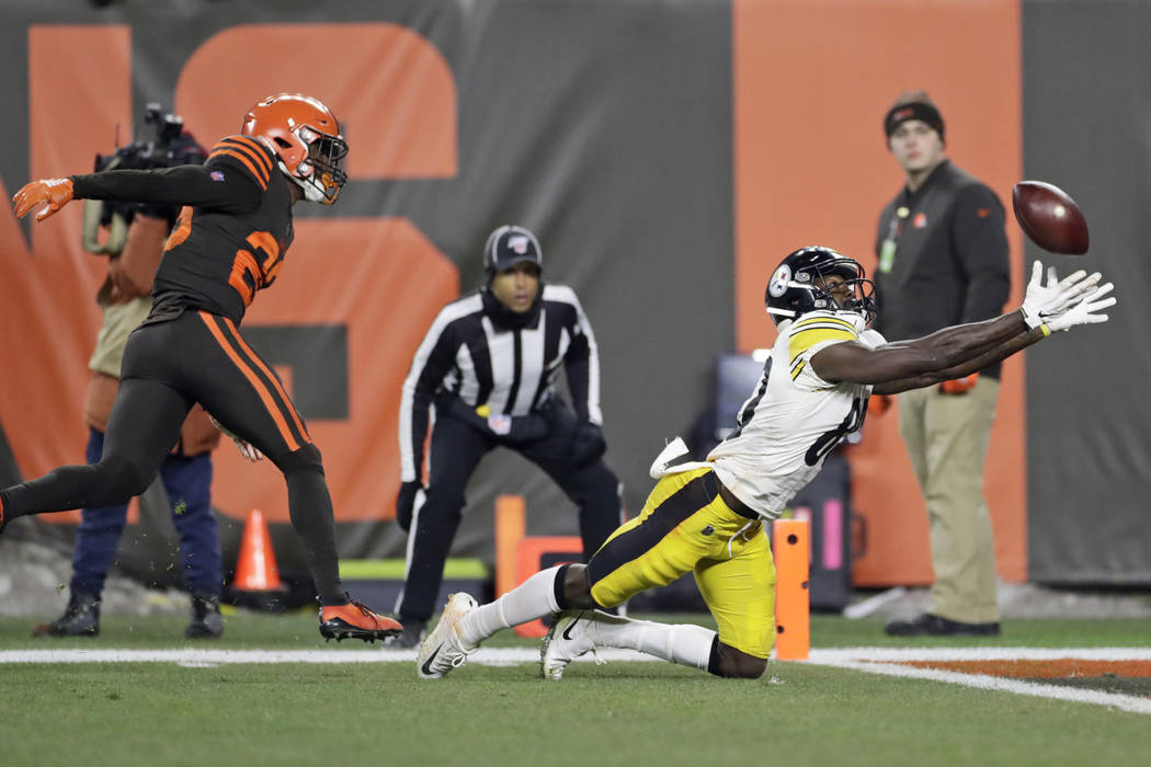 Pittsburgh Steelers wide receiver Johnny Holton (80) makes a diving attempt at the goal line bu ...