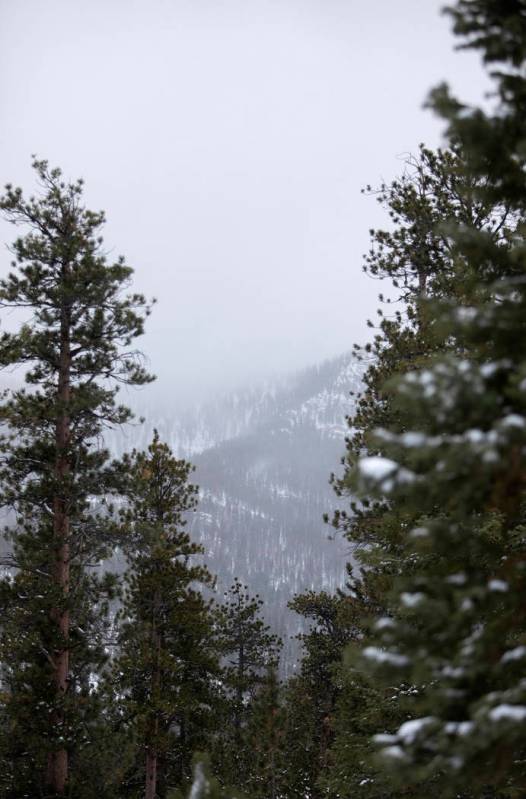 Fog covers the snowy mountains on Thursday, Nov. 28, 2019, at Upper Lee Meadows in the Spring M ...