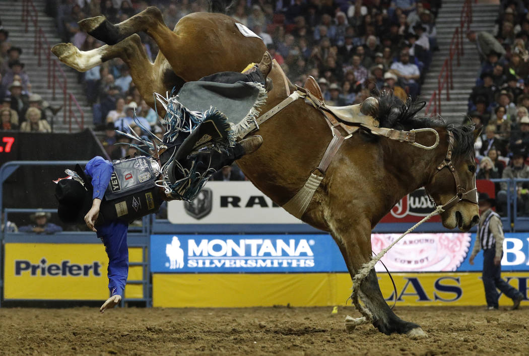 Ryder Wright, of Milford, Utah, is bucked off his horse while competing in the saddle bronc rid ...