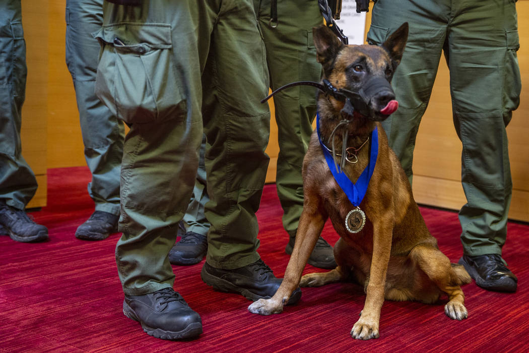 Las Vegas police K-9 Hunter is recognized by the Las Vegas City Council on Wednesday, Dec. 4, 2 ...