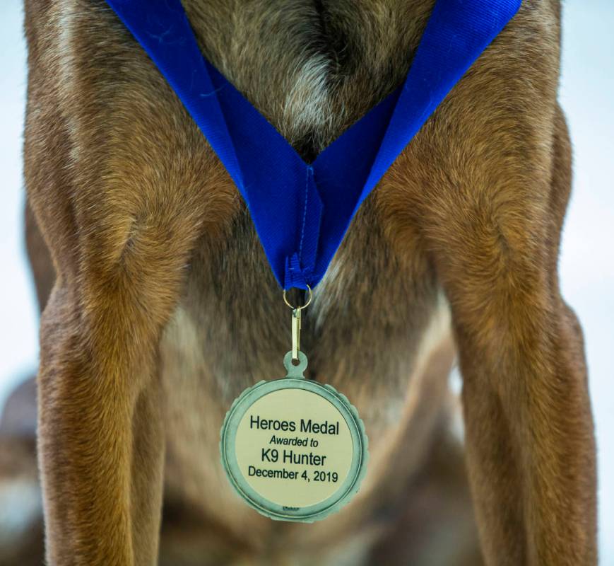 Las Vegas police K-9 Hunter wears a medal given by the the Las Vegas City Council on Wednesday ...