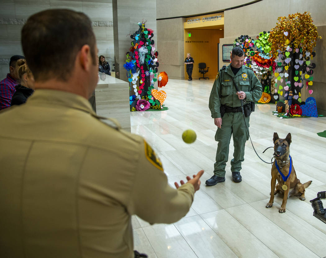 Las Vegas police K-9 Hunter, right, eyes a ball being tossed as he and K-9 officer Jason Dukes, ...
