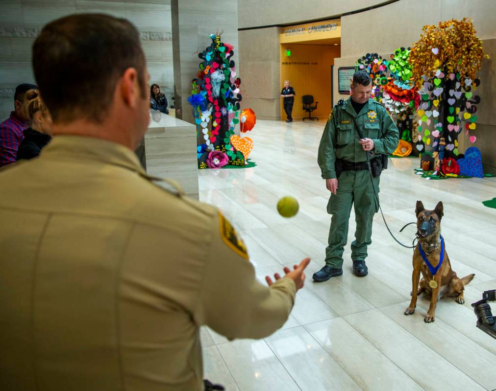 Las Vegas police K-9 Hunter, right, eyes a ball being tossed as he and K-9 officer Jason Dukes, ...