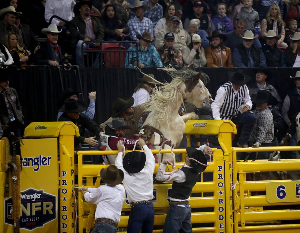 Tim O'Connell of Zwingle, Iowa prepares to ride Two Buck Chuck in the Bareback Riding competiti ...