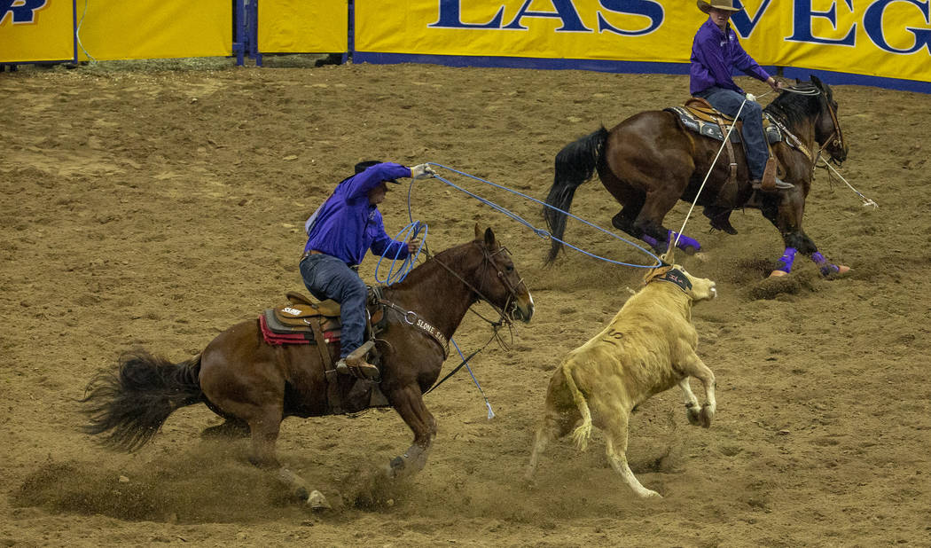 Heeler Chase Tryan, left, of Helena, Mont., and Header Brenten Hall of Jay, Okla., work quick i ...