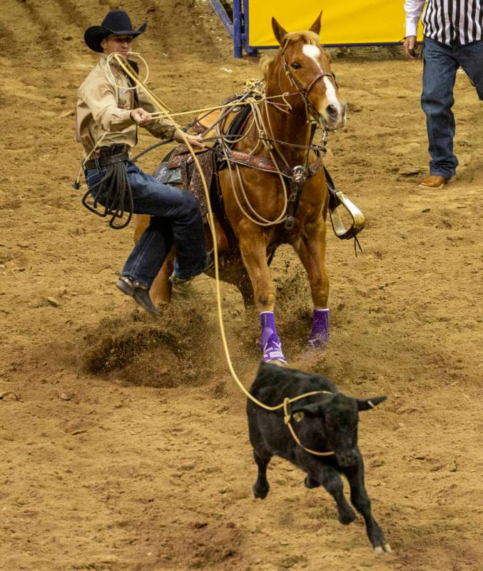 Shane Hanchey of Sulphur, La., looks to his calf before scoring a time of 7.50 seconds and a fi ...