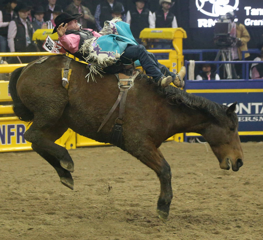 Tanner Aus of Granite Falls, Minn. rides Weenie in the bareback competition during the fifth go ...