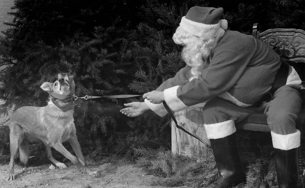 A reluctant pup isn't thrilled about seeing Santa Claus in 1987. Michael Andeel/Las Vegas Revie ...