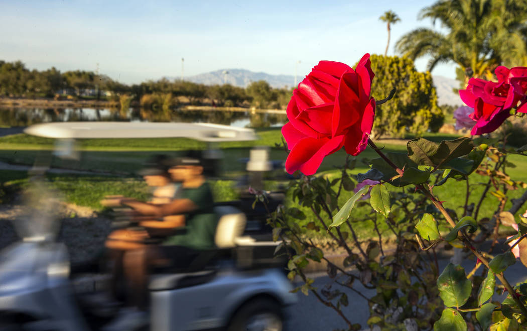 Golfers ride by the practice area adjacent to the clubhouse on the Palm Course at the Angel Par ...