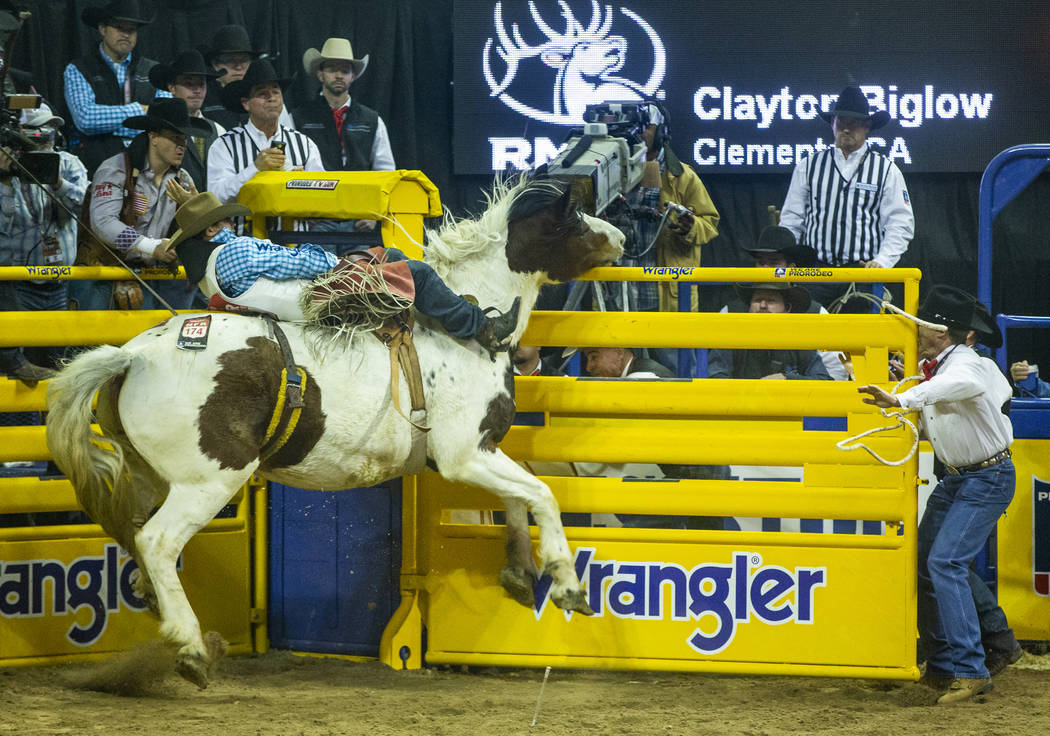 Clayton Biglow of Clements, Calif., stays atop as Freckled Frog crashes the gate into Gate Man ...