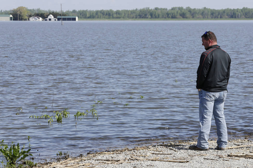 In this May 10, 2019 photo, Brett Adams stands where the road to his flooded farm disappears un ...