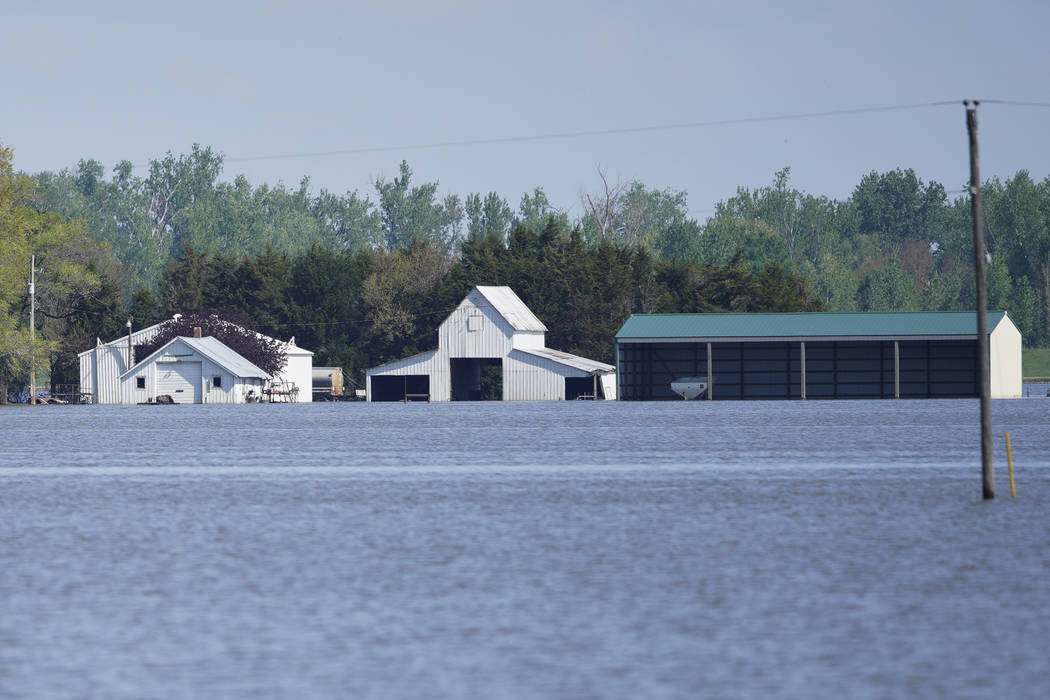 In this May 10, 2019 photo, farm buildings belonging to Brett Adams are surrounded by flood wat ...