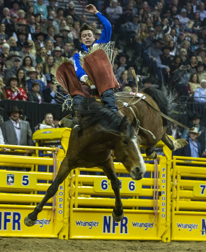 Clayton Biglow of Clements, Calif., rides Ankle Biter to a first place score of 91.5 points in ...