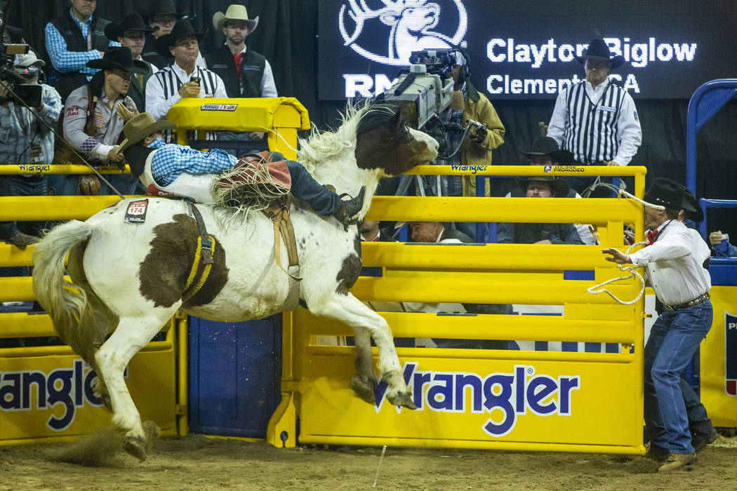 Clayton Biglow of Clements, Calif., stays atop as Freckled Frog crashes the gate into Gate Man ...