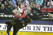 Tim O'Connell of Zwingle, Iowa rides Nutrena's Bad Influence during Bareback Riding in the eigh ...