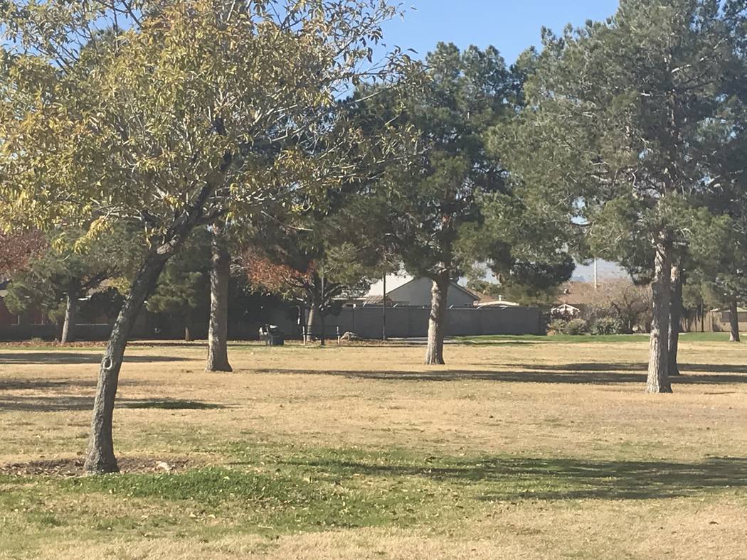 Whitney Neighborhood Park is pictured Dec. 13 in southeast Las Vegas. (Julie Wootton-Greener/La ...