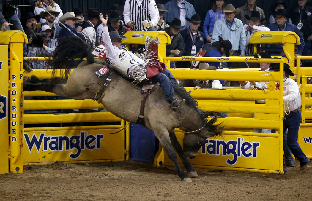 Tim O'Connell of Zwingle, Iowa rides Miss Dunny in Bareback Riding during the ninth go-around o ...