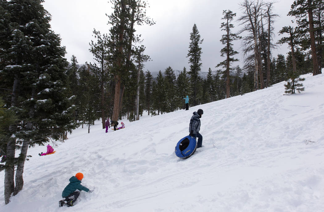Sledders climb the hill at Upper Lee Meadows on Thursday, Nov. 28, 2019, in the Spring Mountain ...