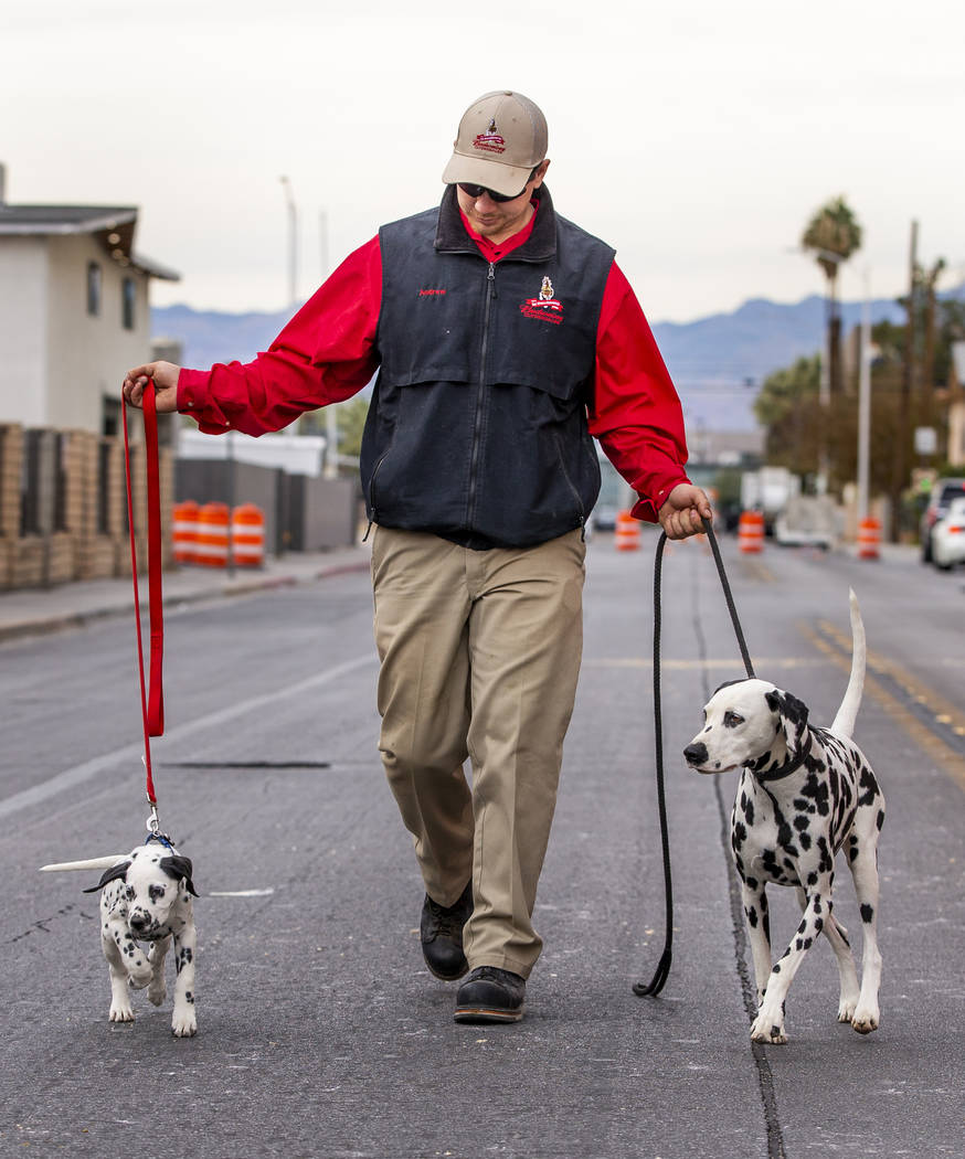 Andrew Lacrosse leads walks up the street with Weiser, left, and April, right, as the world-fam ...