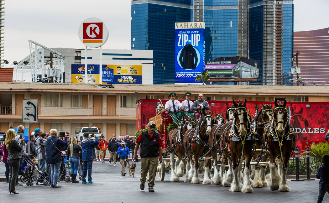 The world-famous Budweiser Clydesdales pulling the Budweiser red beer wagon pull up to the port ...