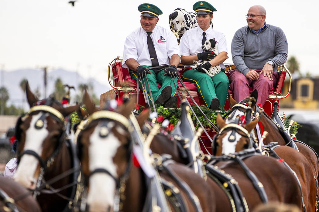 Budweiser red beer wagon driver Eric Reisenberger is joined by Shelby Zarobinski with Weiser, a ...