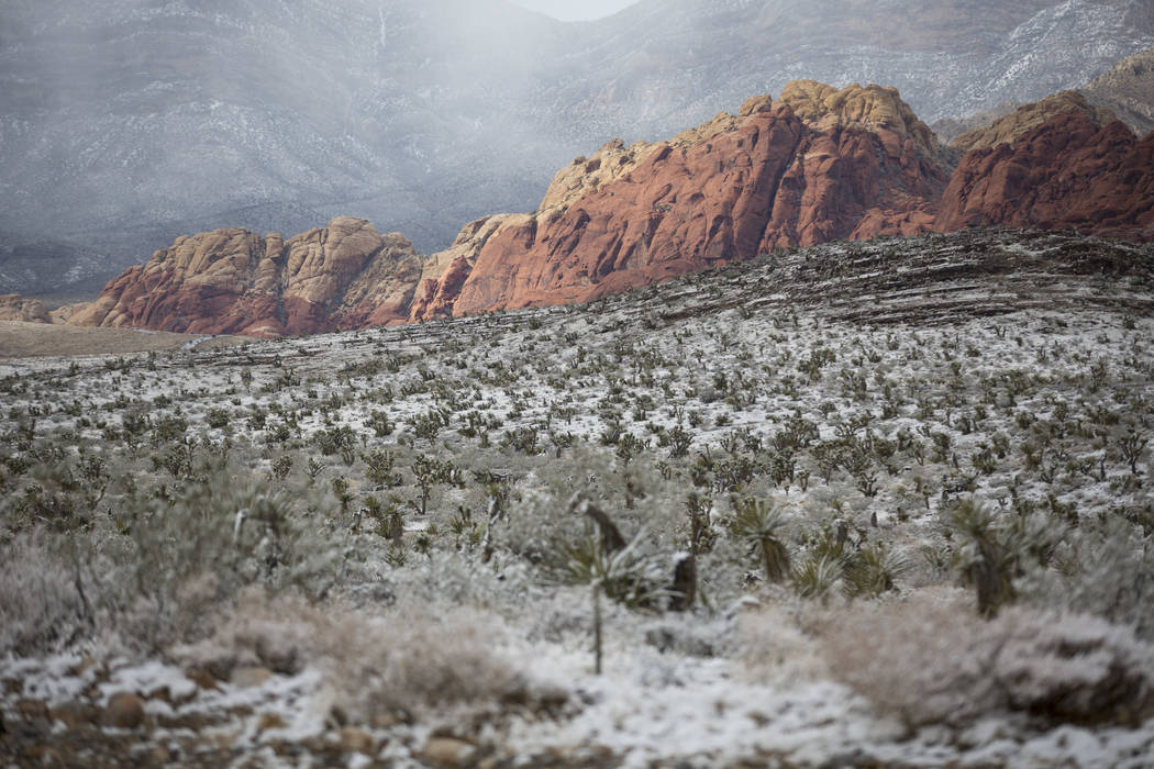 Snow accumulates at Red Rock Canyon Overlook on Friday, Feb. 23, 2018, near Las Vegas. Snow flu ...