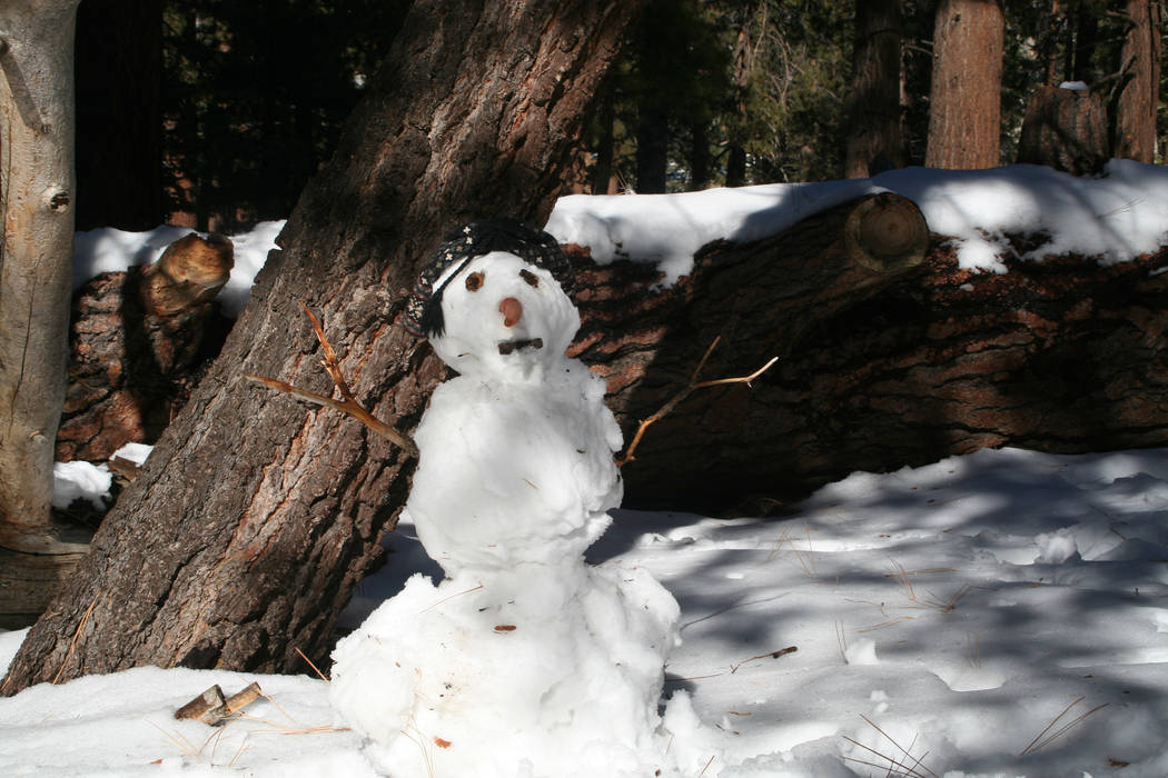 Visitors took advantage of the snow in San Jacinto State Park and built a funny snowman. (Debor ...