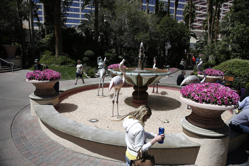 The Flamingo Wildlife Habitat at the Flmaingo casino-hotel in Las Vegas, Thursday, April 19, 20 ...