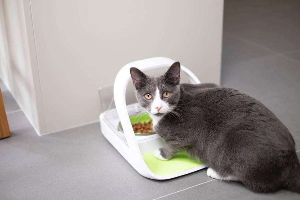 Sure Petcare's “Micochip Pet Feeder Connect,” set to be displayed at CES, records how much ...
