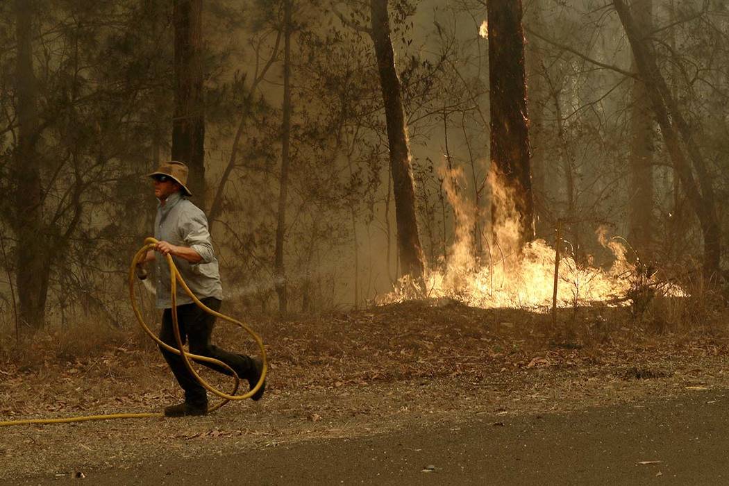 A man runs back to his truck after trying to quench a fire near Moruya, Australia, Saturday, Ja ...