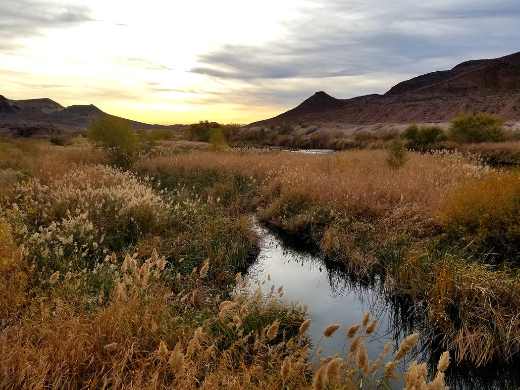 A late December sunset is seen from the Las Vegas Wash between Wells Trailhead and Terrazza Par ...