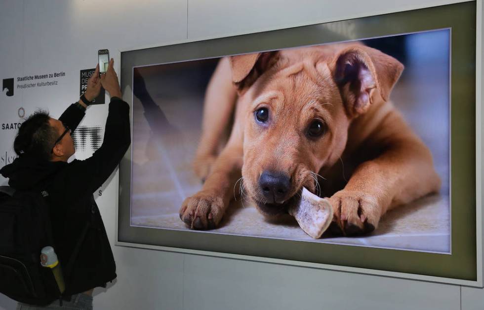 Samsung 'The Frame' TV, wall art that looks like a picture frame, complete with digital still a ...