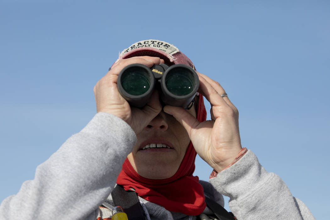 Carrie Norman, a vegetation biologist for the National Park Service, looks for birds during the ...