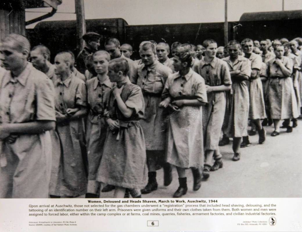 Jackdaw Photo Collections historical photo of women, deloused and heads shaven, marching to wor ...