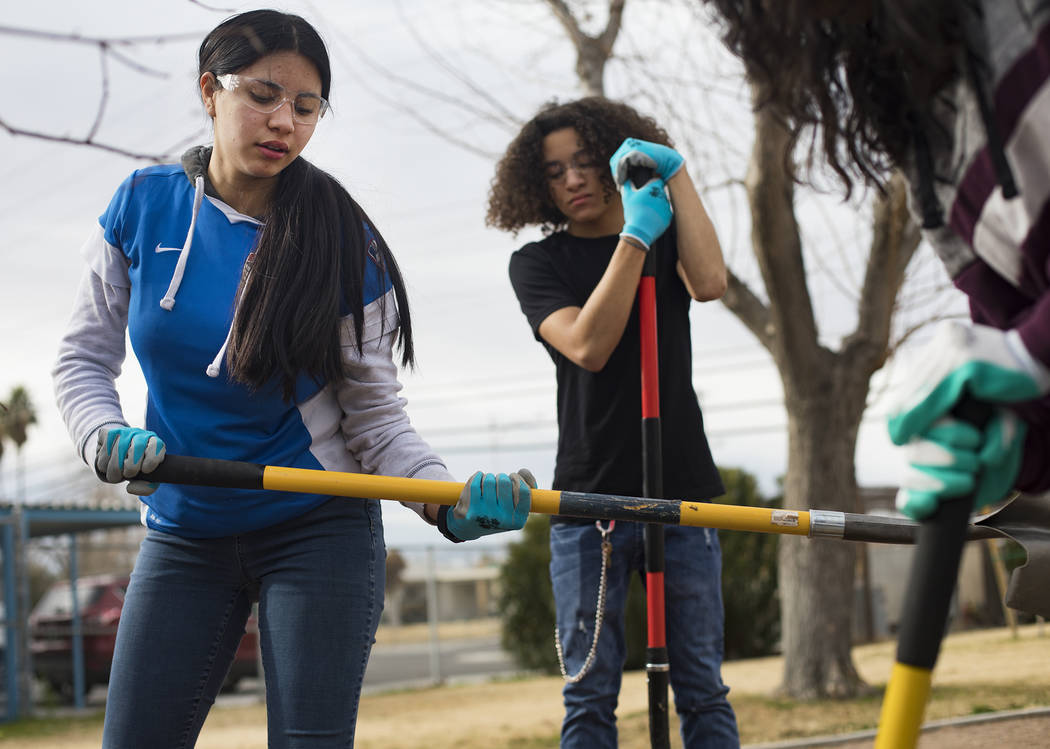 Estefanny Garcia, 16, plants a tree with other students at Doolittle Park in honor of Dr. Marti ...