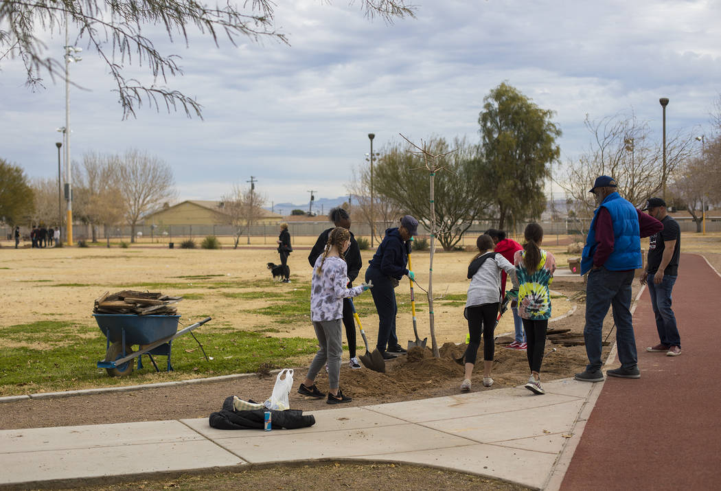 Students and volunteers plant trees at Doolittle Park in honor of Dr. Martin Luther King Jr. Da ...