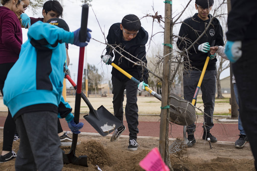 Juan Garcia, 15, center, plants a tree with other students at Doolittle Park in honor of Dr. Ma ...