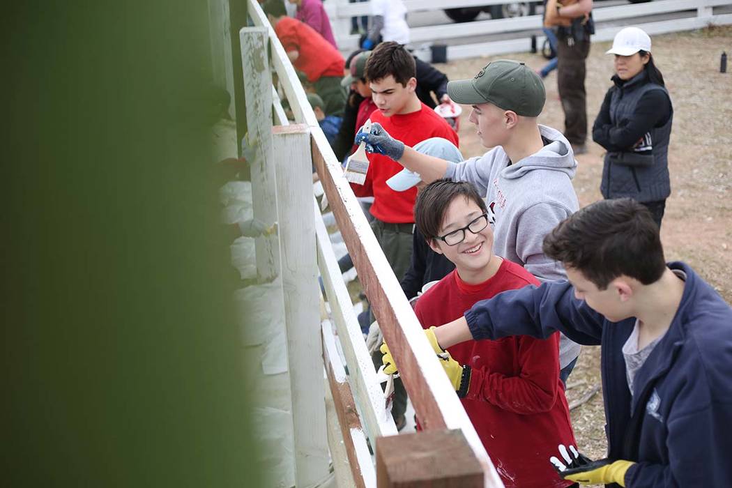 Volunteers with Scouts BSA paint a fence during their outreach day at Spring Mountain Ranch Sta ...