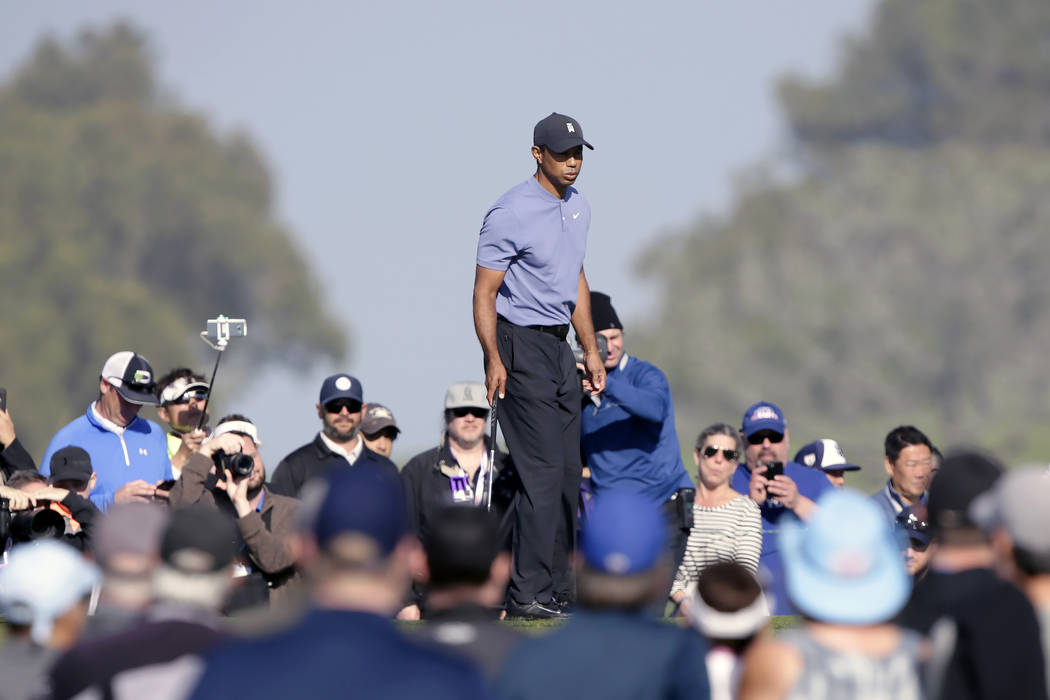 Tiger Woods walks on the 10th green of the Torrey Pines North Course during the first round The ...